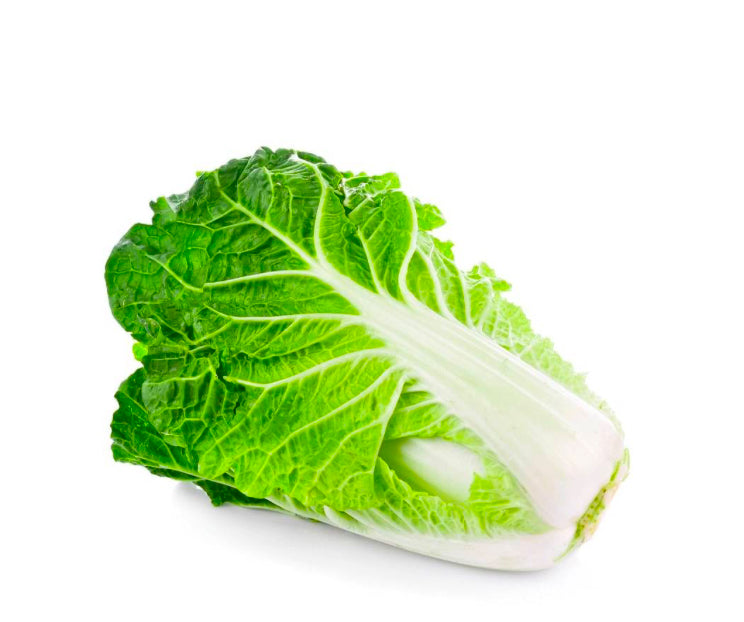 Cabbage Chinese
(Netherlands)🇳🇱
Approx 900gm-1200gm per piece